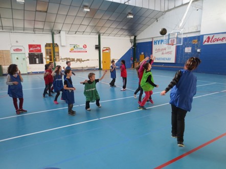 basket2
